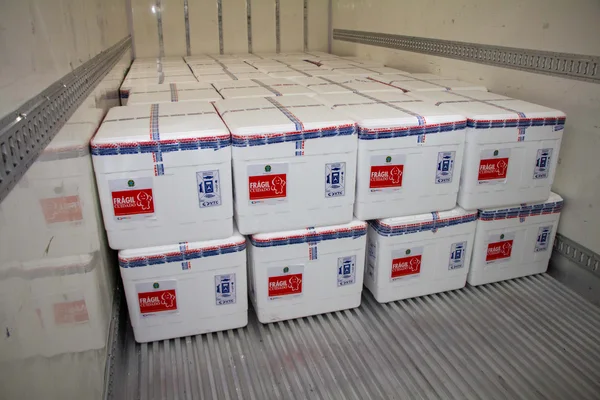 Chegada da 32ª remessa de doses de vacinas contra covid-19