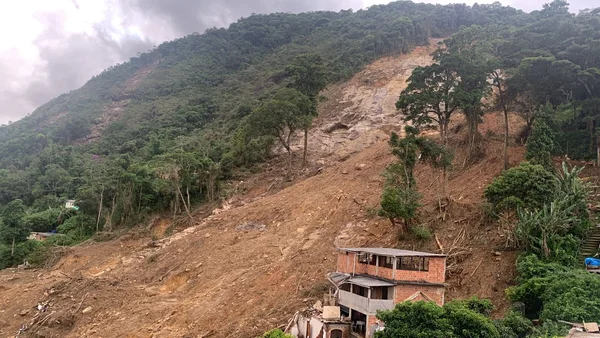 Bombeiros de Minas e cães da corporação ajudam a localizar três vítimas em Petrópolis