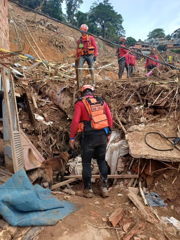 Bombeiros de Minas e cães da corporação ajudam a localizar três vítimas em Petrópolis