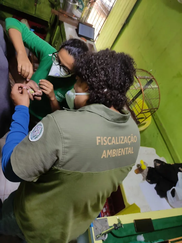 Fiscalização ambiental flagra tráfico e cativeiro irregular de animais silvestres 