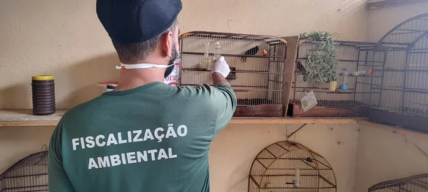 Fiscalização ambiental flagra tráfico e cativeiro irregular de animais silvestres 