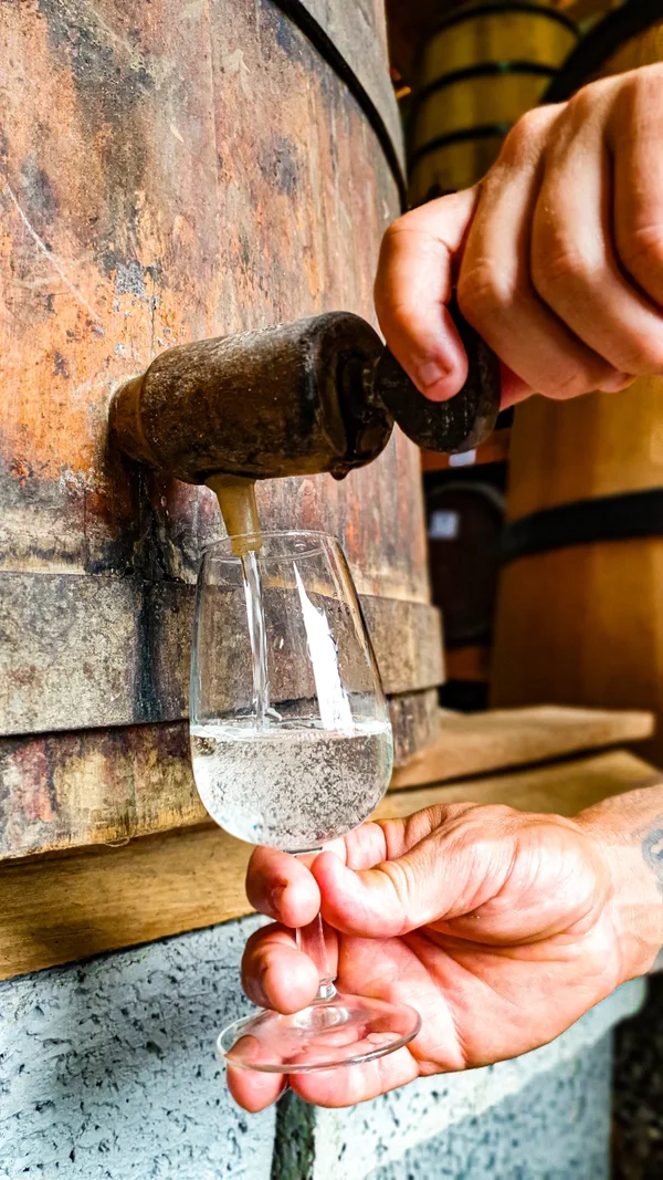 Dia Nacional da Cachaça: seminário apresentará novas tecnologias ao produtor mineiro  