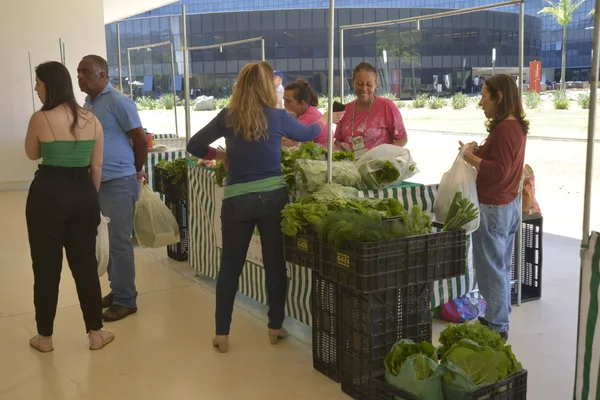 Governador em exercício destaca importância da cadeia produtiva da cachaça e da agricultura familiar em feira na Cidade Administrativa