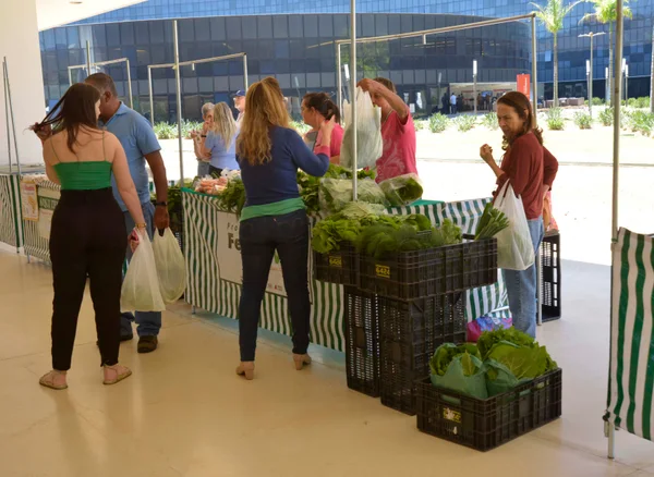 Governador em exercício destaca importância da cadeia produtiva da cachaça e da agricultura familiar em feira na Cidade Administrativa