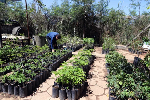 Abertura da Semana Florestal no Parque Estadual Serra Verde