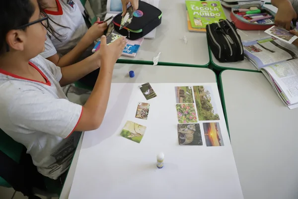 Jovens Mineiros Sustentáveis revoluciona a relação de crianças e famílias com o meio ambiente e pode alcançar mais de 9 mil alunos em 2024 