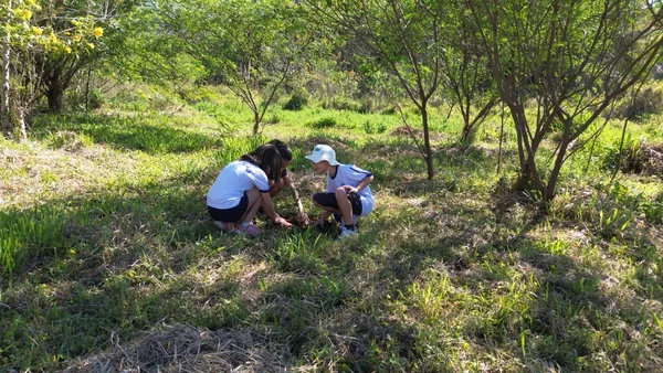Jovens Mineiros Sustentáveis revoluciona a relação de crianças e famílias com o meio ambiente e pode alcançar mais de 9 mil alunos em 2024