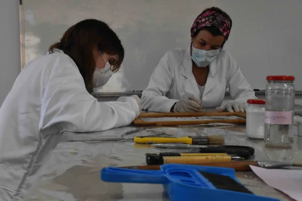 Com mais de cinco décadas de história, Fundação de Arte de Ouro Preto aposta na ampliação e descentralização de ações