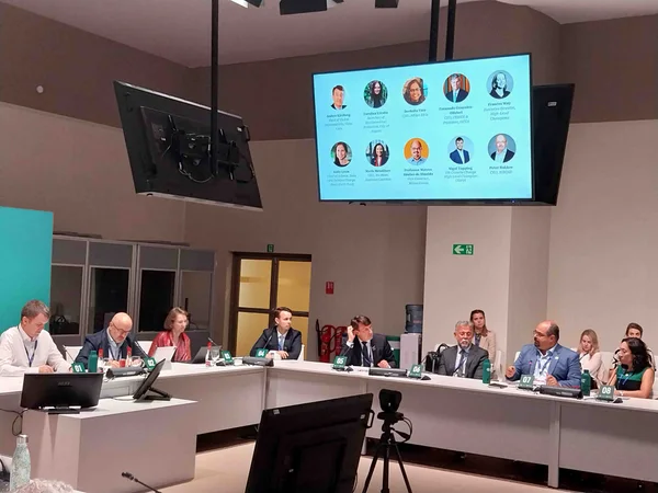 Governo de Minas debate transição para energia renovável na COP28