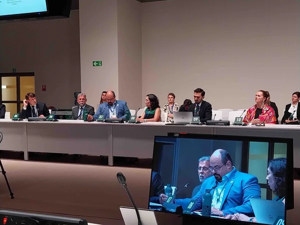 Governo de Minas debate transição para energia renovável na COP28