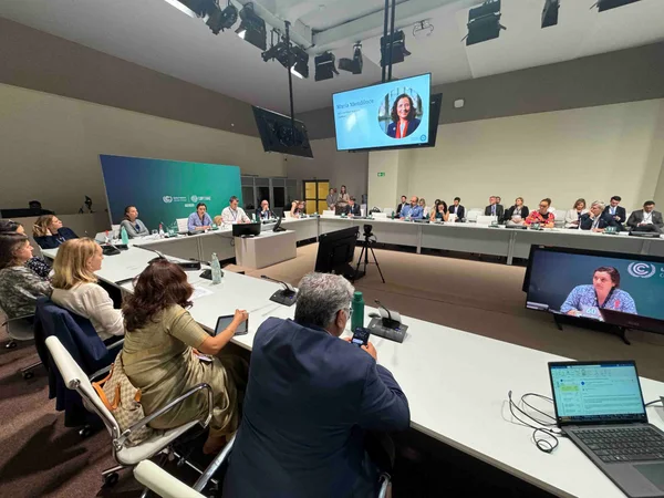 Governo de Minas debate transição para energia renovável na COP28
