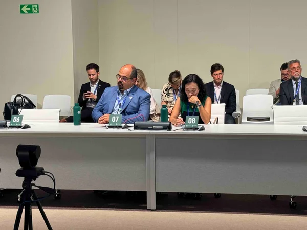 Governo de Minas debate transição para energia renovável na COP28
