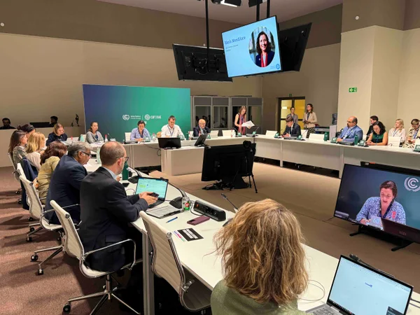 Governo de Minas debate transição para energia renovável na COP28
