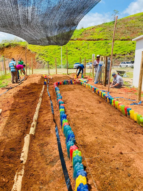 Penitenciária de Muriaé fornece 1,4 mil mudas para cultivo de horta comunitária em escola municipal