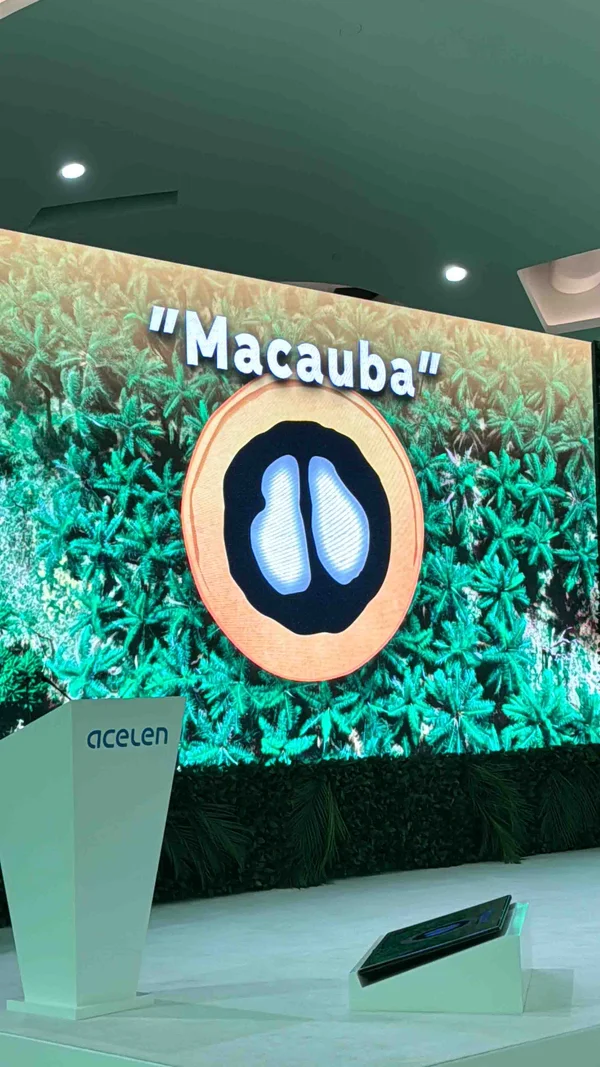 Empresa de fundo árabe vai investir em biocombustíveis de macaúba no Norte de Minas