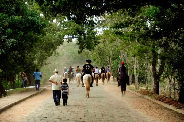 Superando marca de 860 mil visitantes em 2023, parques estaduais são opção de lazer para as férias em Minas