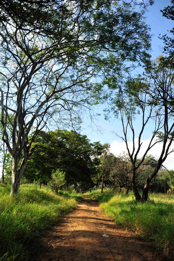 Superando marca de 860 mil visitantes em 2023, parques estaduais são opção de lazer para as férias em Minas