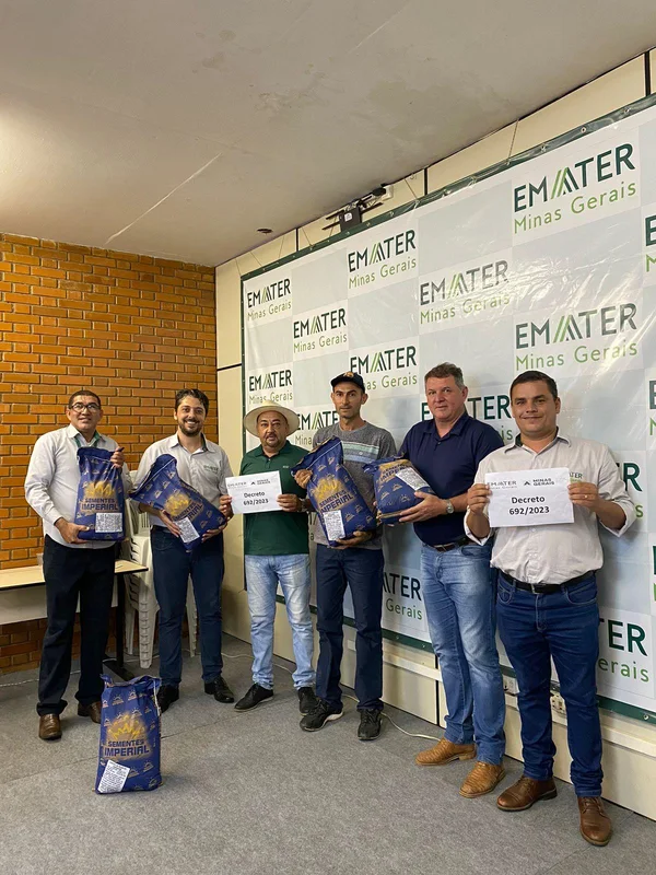 Agricultores atingidos pela seca começam a colher feijão de sementes doadas pelo Governo de Minas