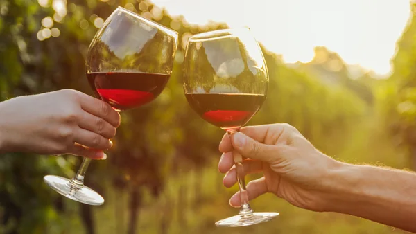  Governo de Minas reduz carga tributária e estimula a fabricação de vinhos no estado
