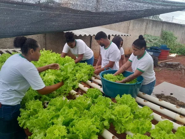 Número de estudantes mineiros em cursos técnicos nas escolas estaduais cresce 470% em 5 anos