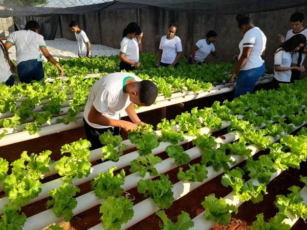 Número de estudantes mineiros em cursos técnicos nas escolas estaduais cresce 470% em 5 anos