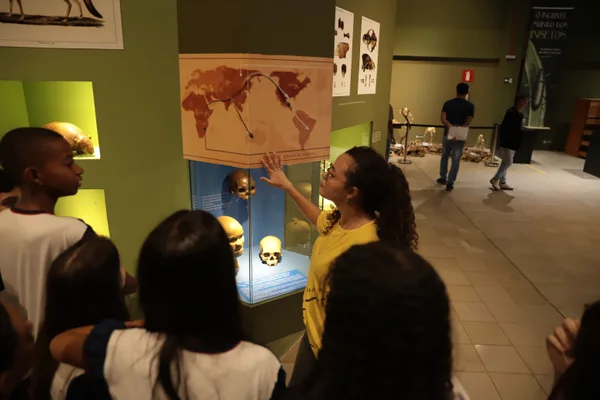 Descoberta de Luzia, um dos esqueletos mais antigos das Américas, completa 50 anos