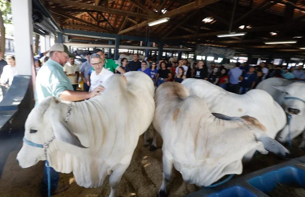 Governo de Minas promove série de ações para produtores e mercado na 89ª ExpoZebu