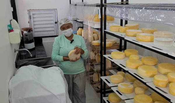 Minas produz requeijão a partir de queijo fora do padrão comercial
