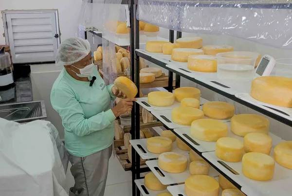Minas produz requeijão a partir de queijo fora do padrão comercial