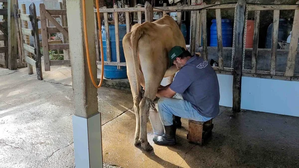 Minas produz requeijão a partir de queijo fora do padrão comercial