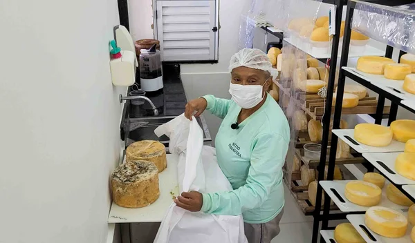 Minas produz requeijão a partir de queijo fora do padrão comercial