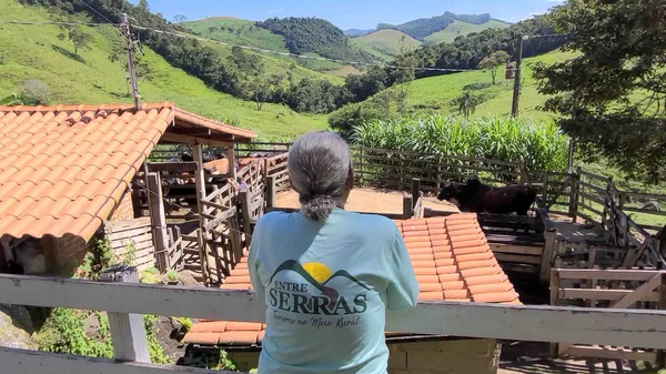 Minas produz requeijão a partir de queijo fora do padrão comercial
