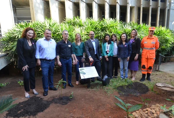 Governo de Minas integra Mutirão das Árvores, iniciativa para plantar mais de 100 milhões de árvores no estado
