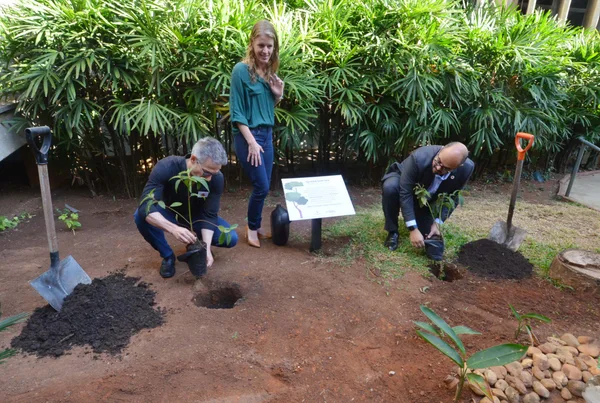 Governo de Minas integra Mutirão das Árvores, iniciativa para plantar mais de 100 milhões de árvores no estado