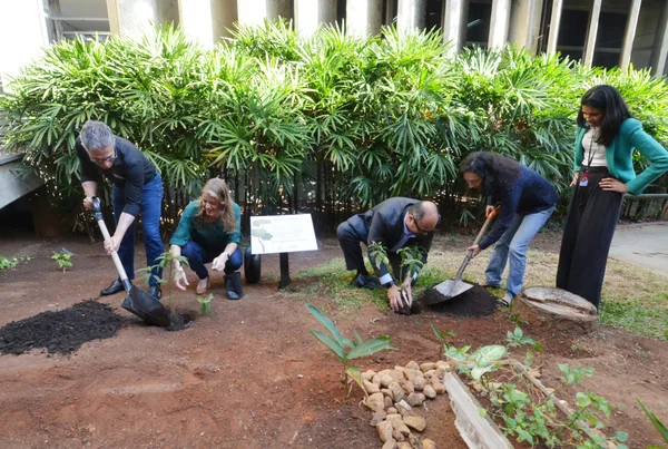 Governo de Minas integra Mutirão das Árvores, iniciativa para plantar mais de 100 milhões de árvores no estado