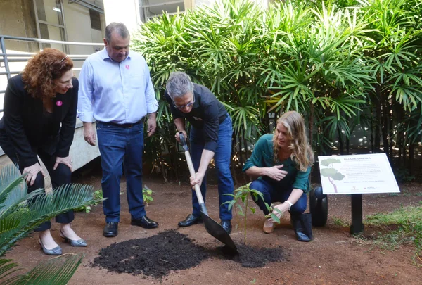 Governo de Minas integra Mutirão das Árvores, iniciativa para plantar mais de 100 milhões de árvores no estado