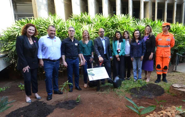 Governo de Minas integra Mutirão das Árvores, iniciativa para plantar mais de 100 milhões de árvores no estado