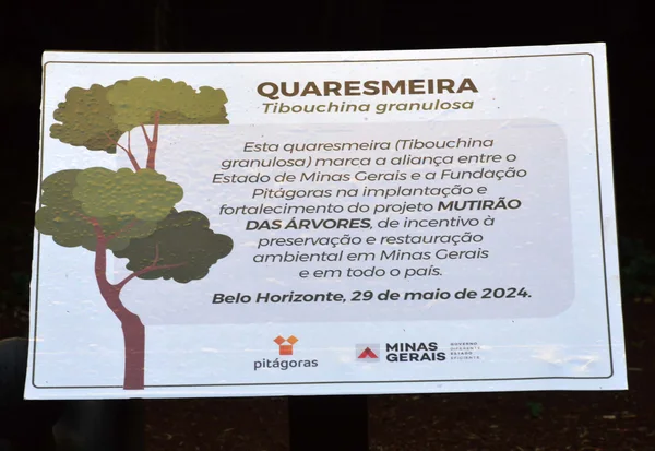 Governo de Minas integra Mutirão das Árvores, iniciativa para plantar mais de 100 milhões de árvores no estado