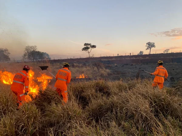 Com bases operacionais, Bombeiros querem agilizar atuação em áreas de incêndios em Minas Gerais