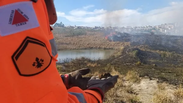 Com bases operacionais, Bombeiros querem agilizar atuação em áreas de incêndios em Minas Gerais