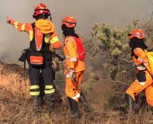 Com bases operacionais, Bombeiros querem agilizar atuação em áreas de incêndios em Minas Gerais