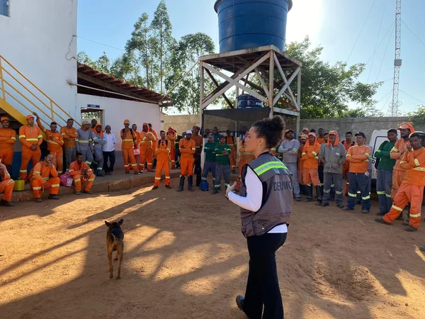 Governo de Minas destina R$ 15 milhões para ações de meio ambiente em obras rodoviárias