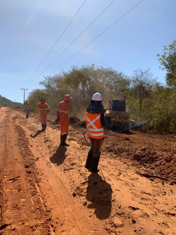Governo de Minas destina R$ 15 milhões para ações de meio ambiente em obras rodoviárias
