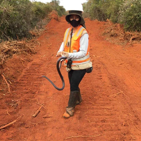 Governo de Minas destina R$ 15 milhões para ações de meio ambiente em obras rodoviárias