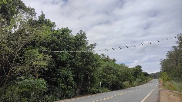 Governo de Minas destina R$ 15 milhões para ações de meio ambiente em obras rodoviárias
