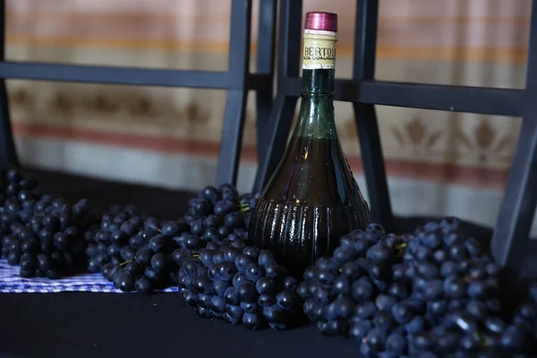 Assinatura de protocolo de intenções com parceiros estratégicos marca início da estruturação da Rota dos Vinhos