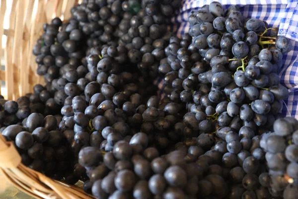 Assinatura de protocolo de intenções com parceiros estratégicos marca início da estruturação da Rota dos Vinhos