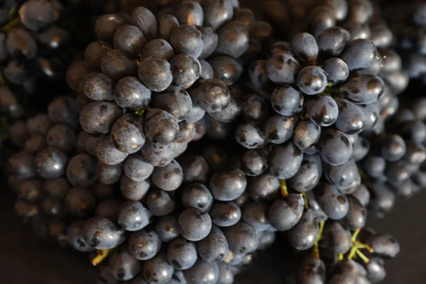 Assinatura de protocolo de intenções com parceiros estratégicos marca início da estruturação da Rota dos Vinhos