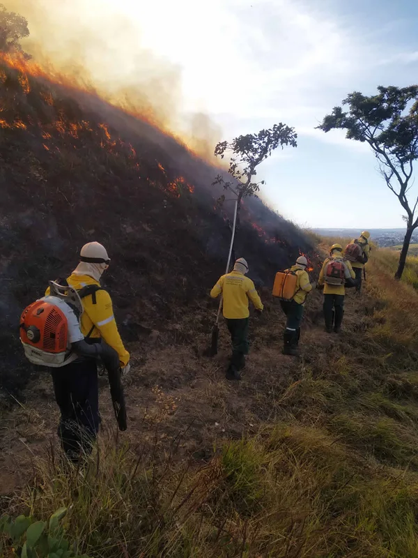 Guardiões da natureza, brigadistas atuam de forma fundamental no combate a incêndios florestais
