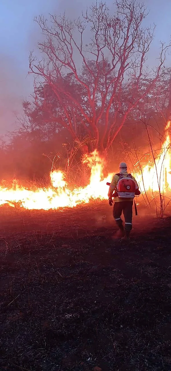 Guardiões da natureza, brigadistas atuam de forma fundamental no combate a incêndios florestais